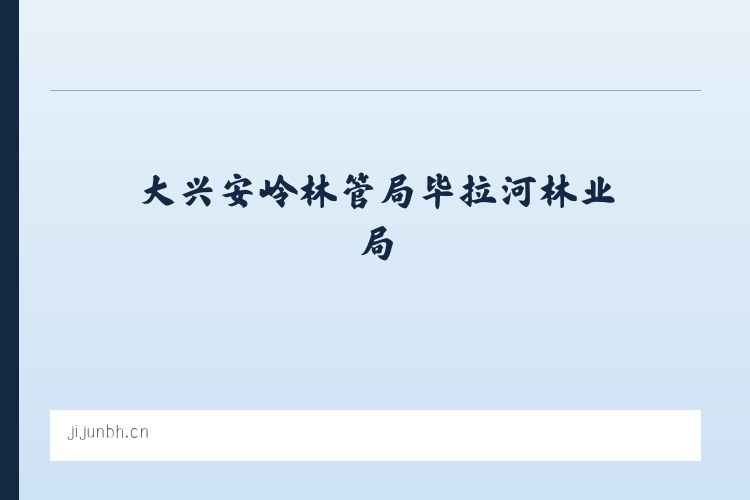 大兴安岭林管局毕拉河林业局 - 高新区君吉百货店 列表图